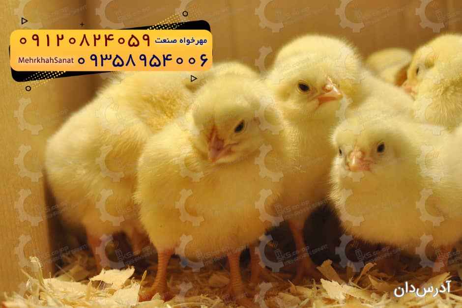 مهرخواه صنعت
