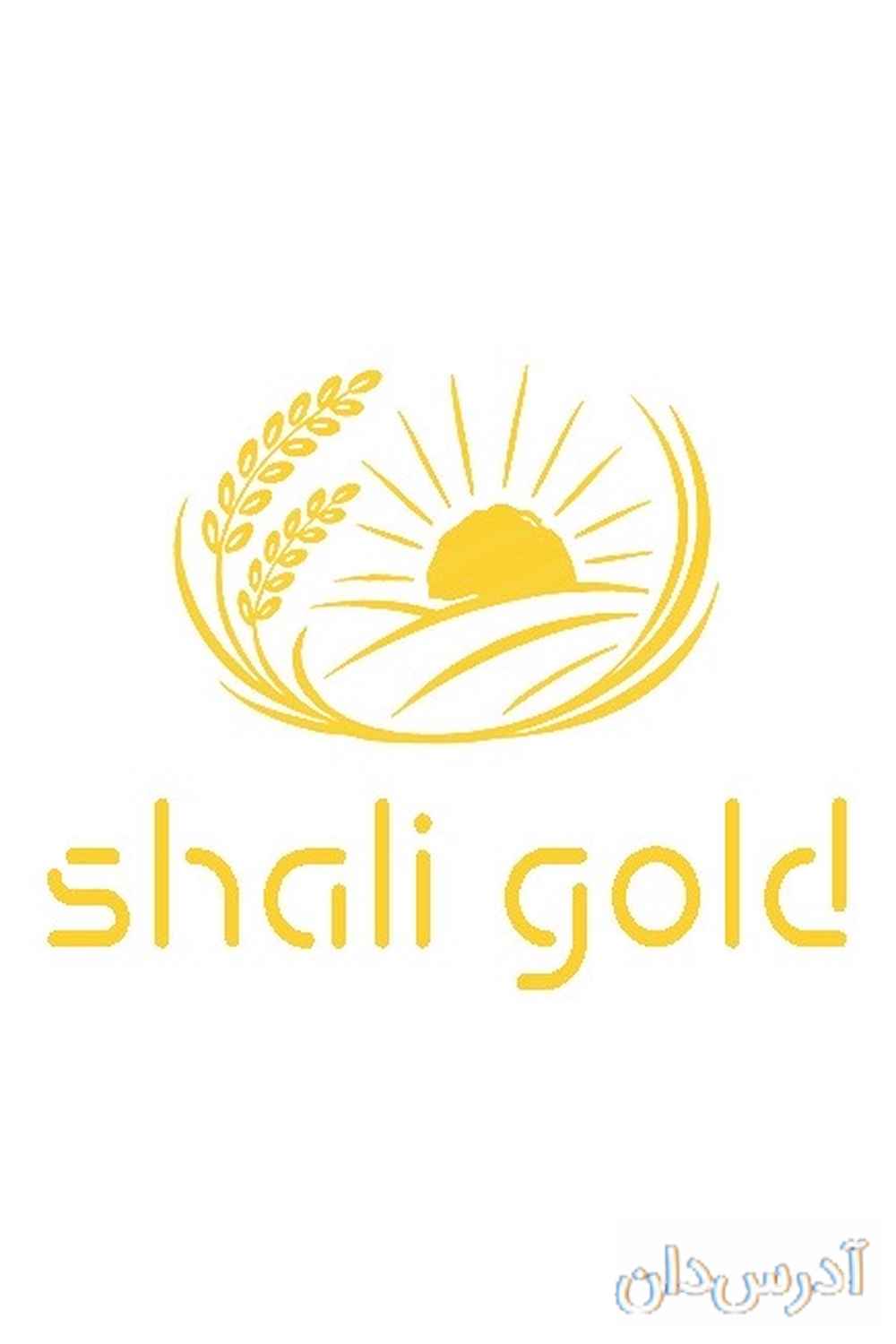 شالی گلد | فروشگاه برنج اصیل ایرانی