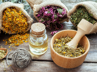 ارمغان سبز طبیعت 